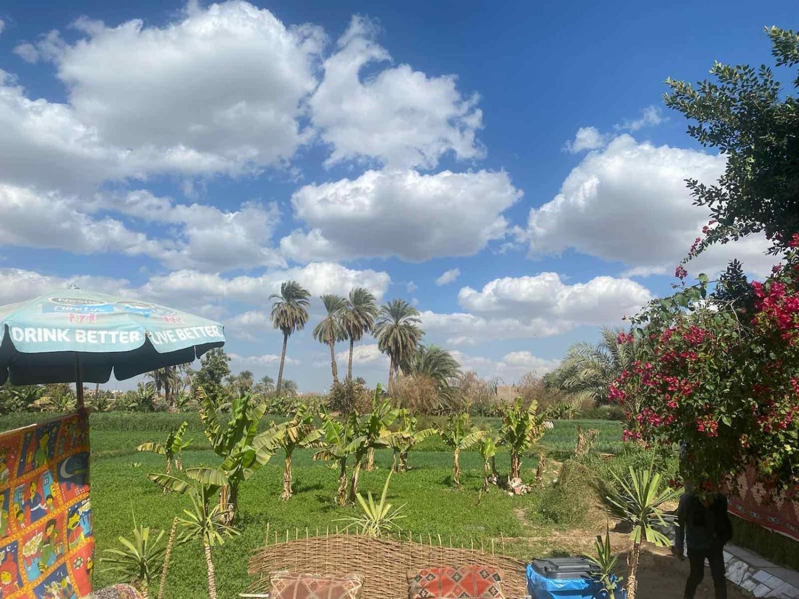 Peace Garden Hostel & Camp Luxor Exterior foto