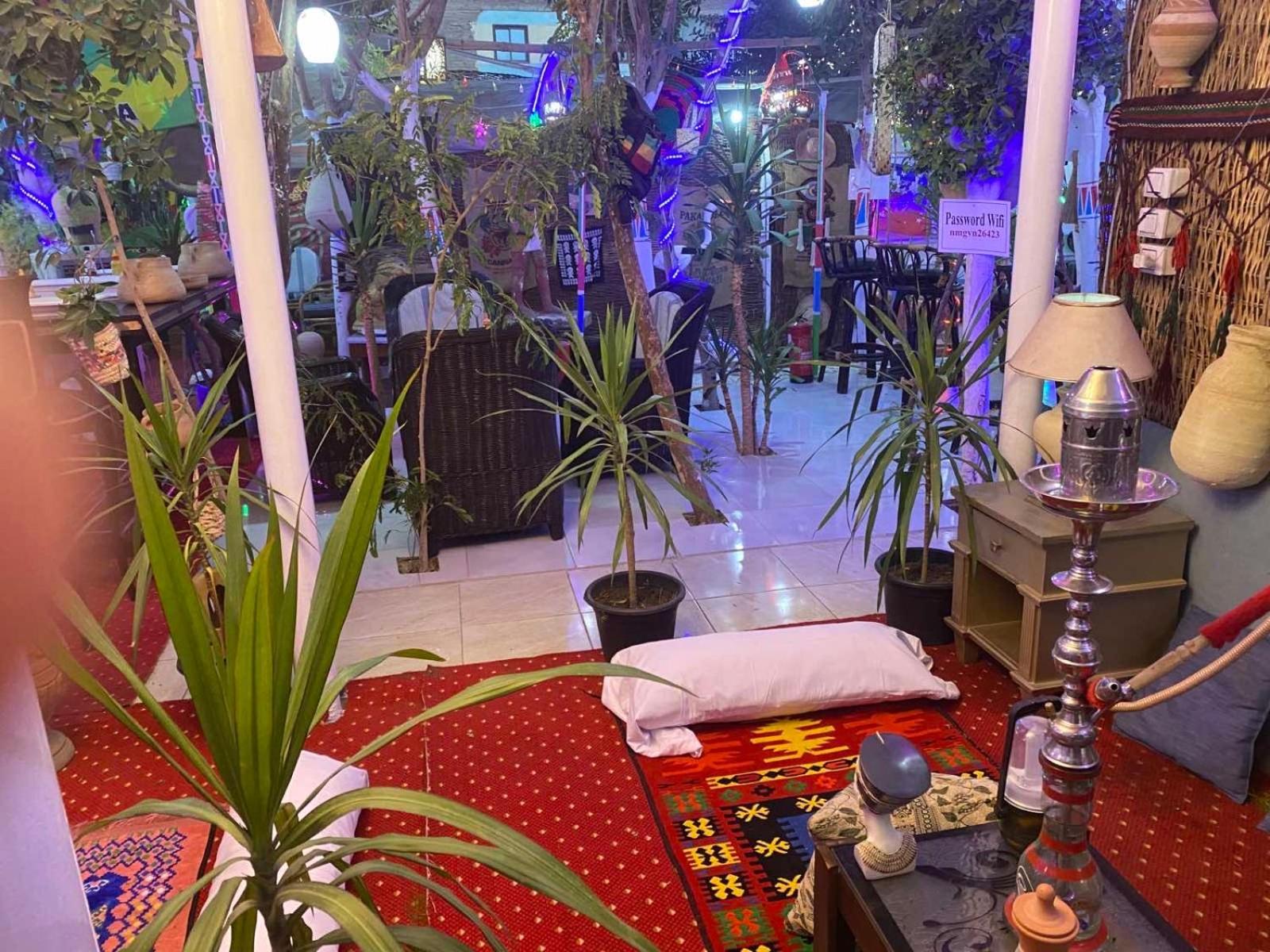 Peace Garden Hostel & Camp Luxor Exterior foto